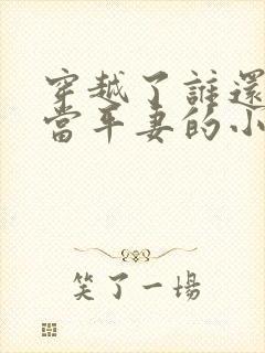 穿越了谁还稀罕当平妻的小说