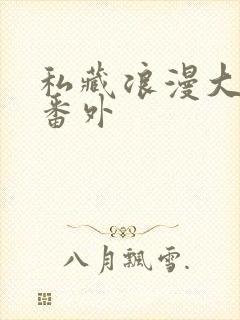 私藏浪漫大结局番外