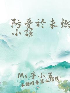 防爱于未燃gl小说