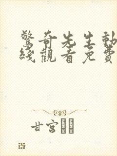 惊奇先生动漫在线观看免费完整版