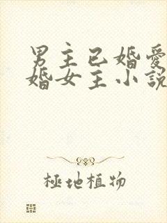 男主已婚爱上未婚女主小说