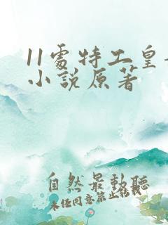 11处特工皇妃小说原著