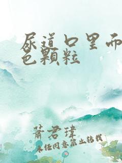 尿道口里面有红色颗粒