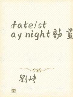 fate/stay night动画
