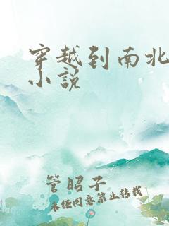 穿越到南北朝的小说