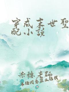 穿成末世圣母女配小说