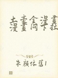 土豪金漫画免费漫画网下拉式