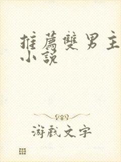 推荐双男主言情小说