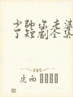 少帅你老婆又跑了短剧全集大结局