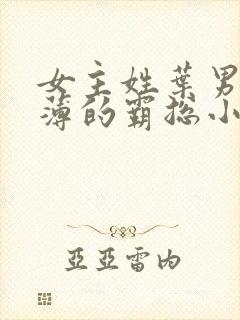 女主姓叶男主姓薄的霸总小说