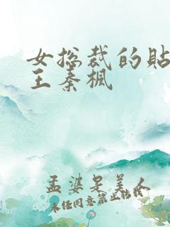 女总裁的贴身兵王秦枫