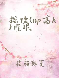 总攻(np高h)催眠