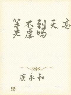 等不到天亮等时光虐吗