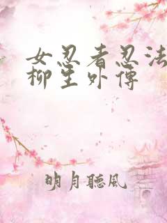 女忍者忍法帖8柳生外传