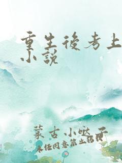 重生后考上北大小说