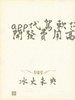 app代驾软件开发费用高吗