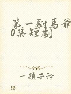 第一驸马爷100集短剧