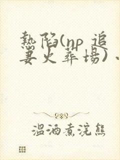 热陷(np 追妻火葬场) 小说