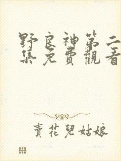 野良神第二季全集免费观看