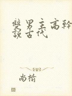 双男主高干文小说古代