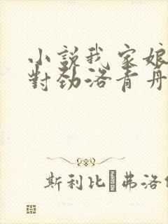 小说我家娘子不对劲洛青舟的免费阅读