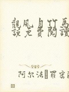 观风月竹马篇小说免费阅读全文