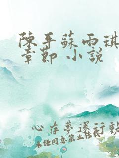 陈平苏雨琪最新章节 小说