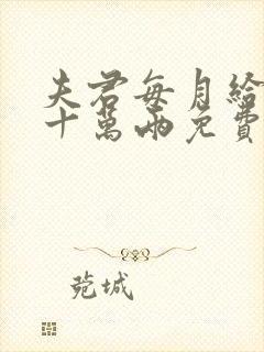 夫君每月给我二十万两免费阅读全文