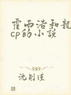 霍雨浩和龙皓晨cp的小说