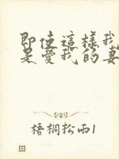 即使这样我也还是爱我的妻子动漫