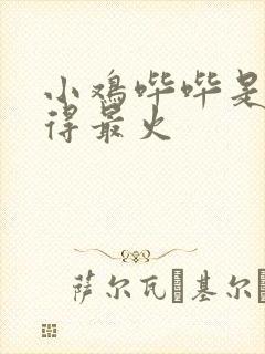 小鸡哔哔是谁唱得最火