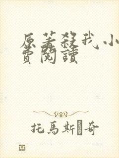 原著杀我小说免费阅读