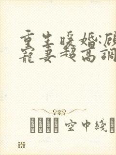 重生暖婚:顾少宠妻超高调