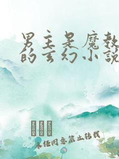 男主是魔教圣子的玄幻小说