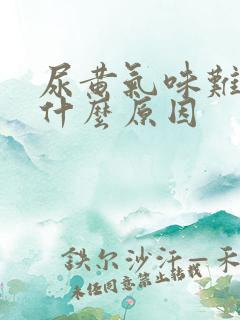 尿黄气味难闻是什么原因