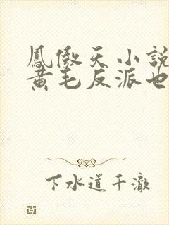 凤傲天小说里的黄毛反派也想幸福 小说