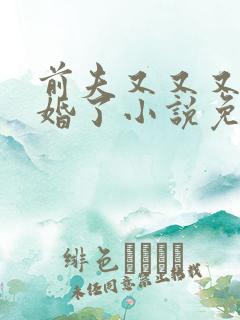 前夫又又又想复婚了小说免费