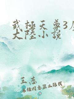 武极天尊3魔方大陆小说