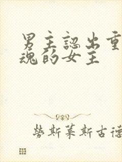 男主认出重生还魂的女主