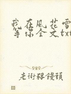 我在风花雪月里等你全文txt下载