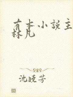 有本小说主角叫林凡