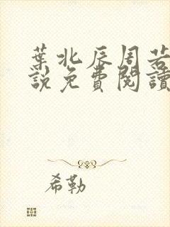 叶北辰周若妤小说免费阅读全文最新