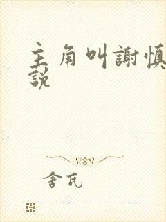 主角叫谢慎的小说