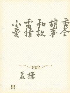 小雷和胡秀英的爱情故事全集