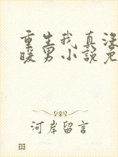 重生我真没想当暖男小说免费阅读