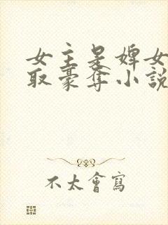 女主是婢女被强取豪夺小说