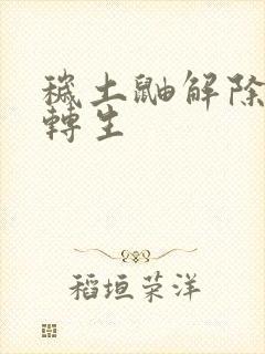 秽土鼬解除秽土转生