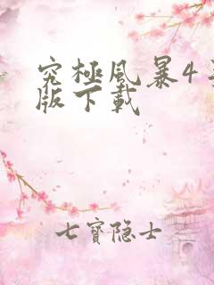 究极风暴4手机版下载