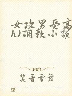 女攻男受高h(h)调教小说