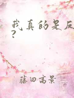 我真的是反派吗?